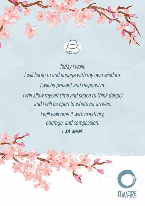 Aware Walking Pack - Image 2