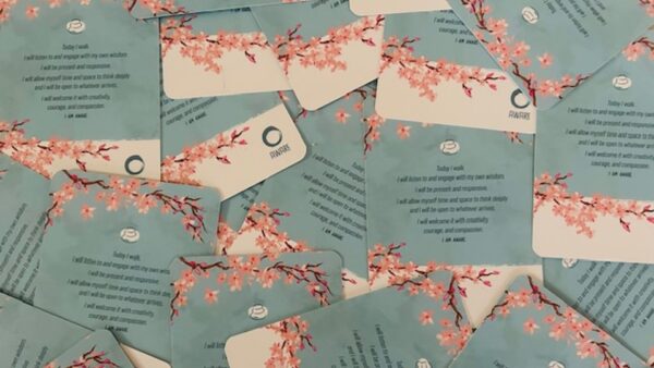 Aware Walking Pack - Image 5