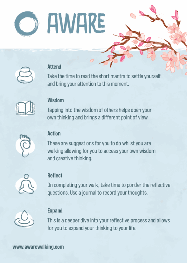 Aware Walking Pack - Image 3